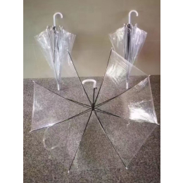 4641 UMBRELLA TRANSPARANT